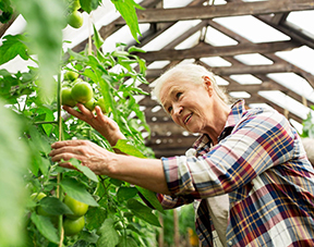Nutrition Solutions